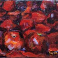 2gb-de-zsitvay-fruits-rouges-24cm-19-cm-astjpgredimensionner.jpg