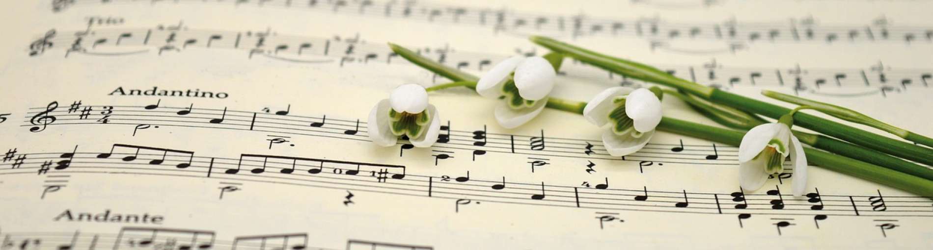 fete-musique